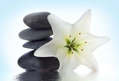Fototapeta Stones and Flower 6665